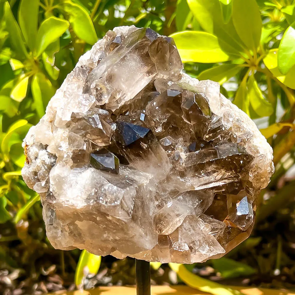 Smoky Quartz on a Stand