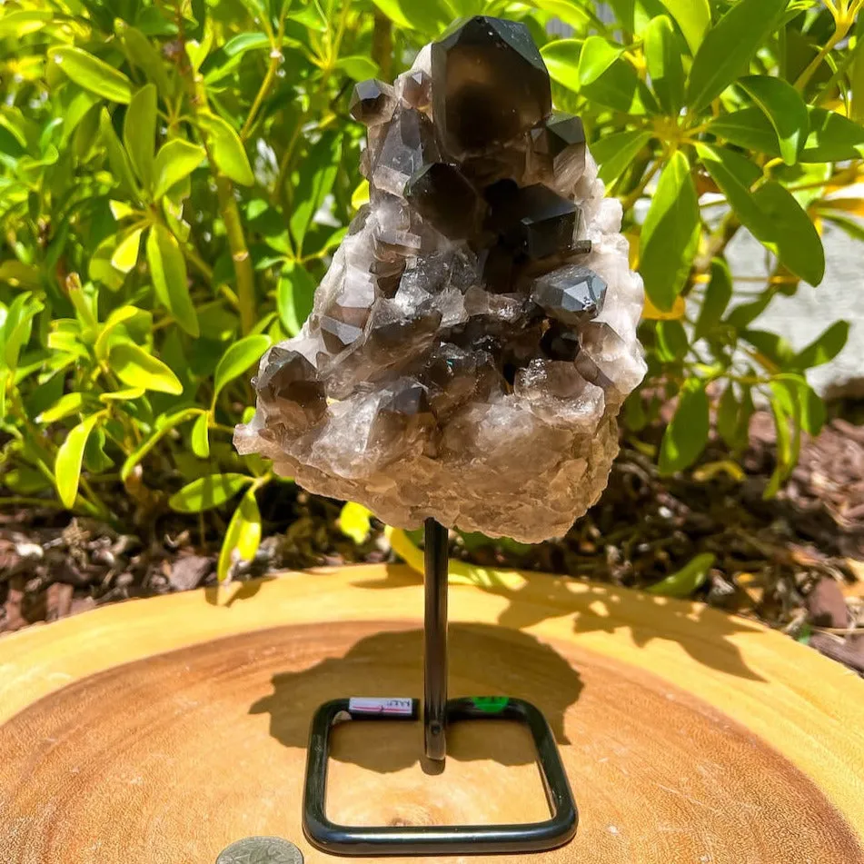 Smoky Quartz on a Stand