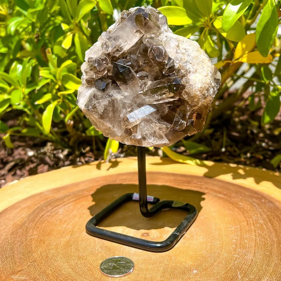 Smoky Quartz on a Stand