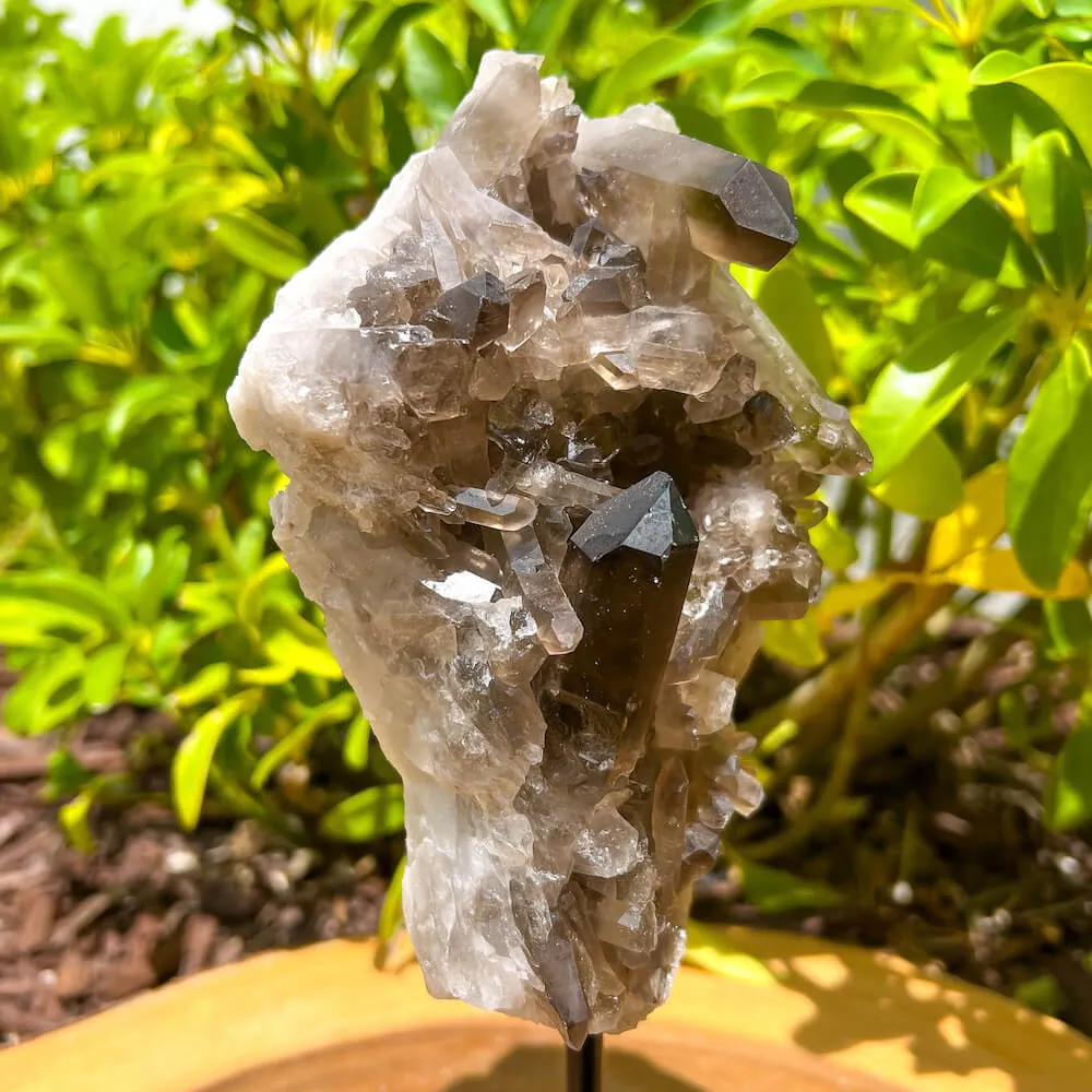 Smoky Quartz on a Stand