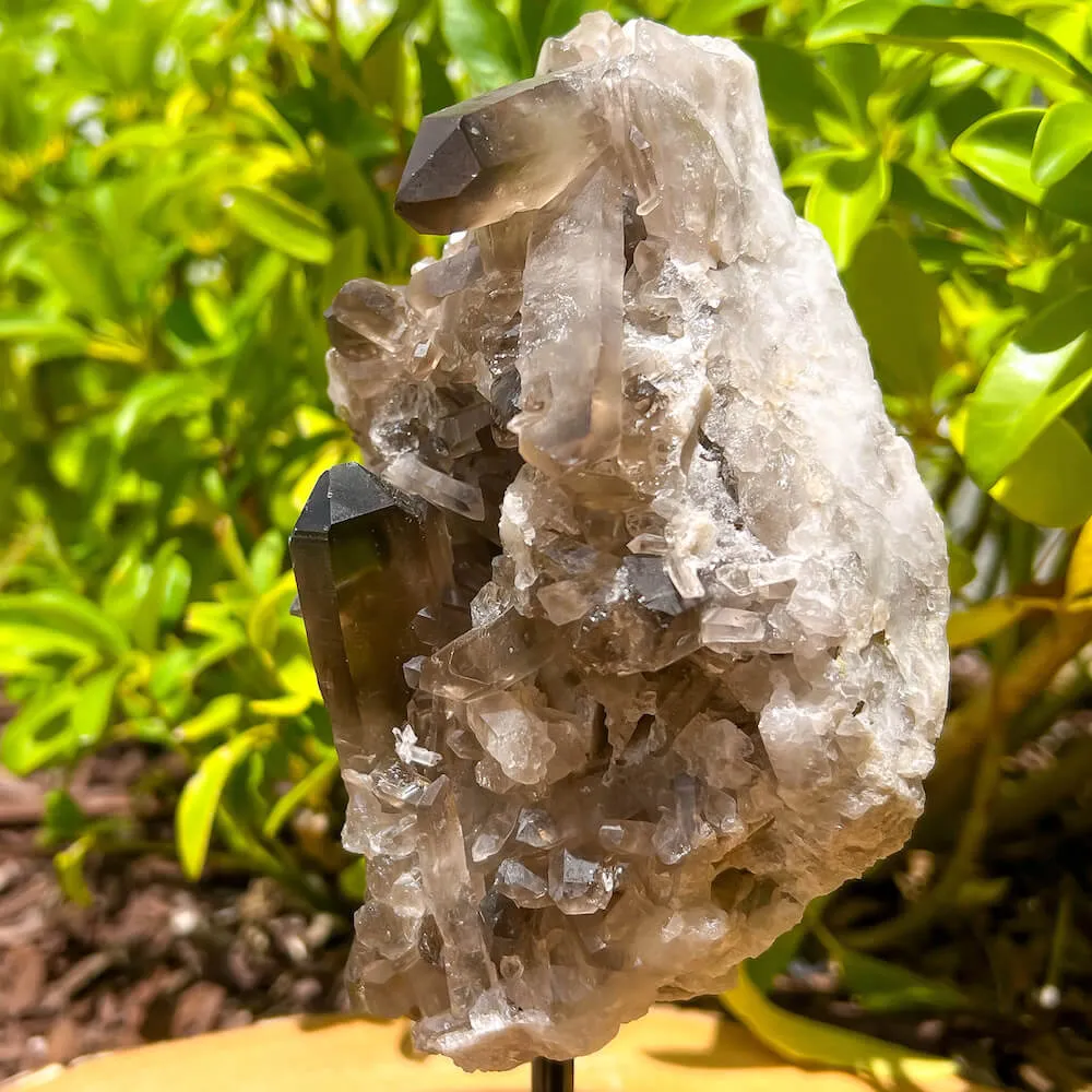 Smoky Quartz on a Stand