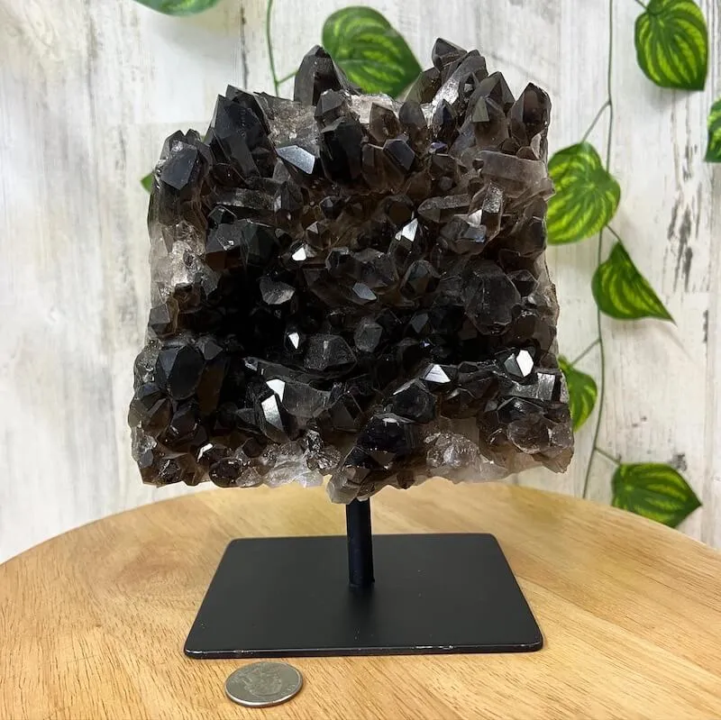 Smoky Quartz on a Stand